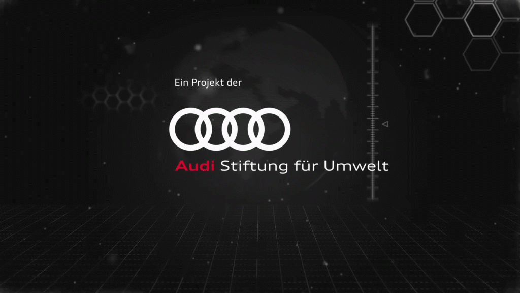 Motion Design Audi